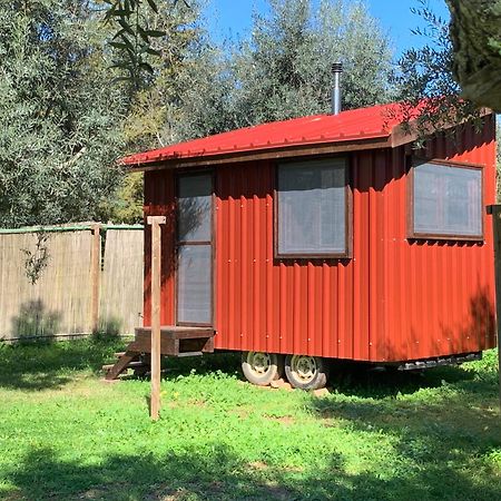 Figueirinha Ecoturismo ξενώνας Monte da Estrada Εξωτερικό φωτογραφία