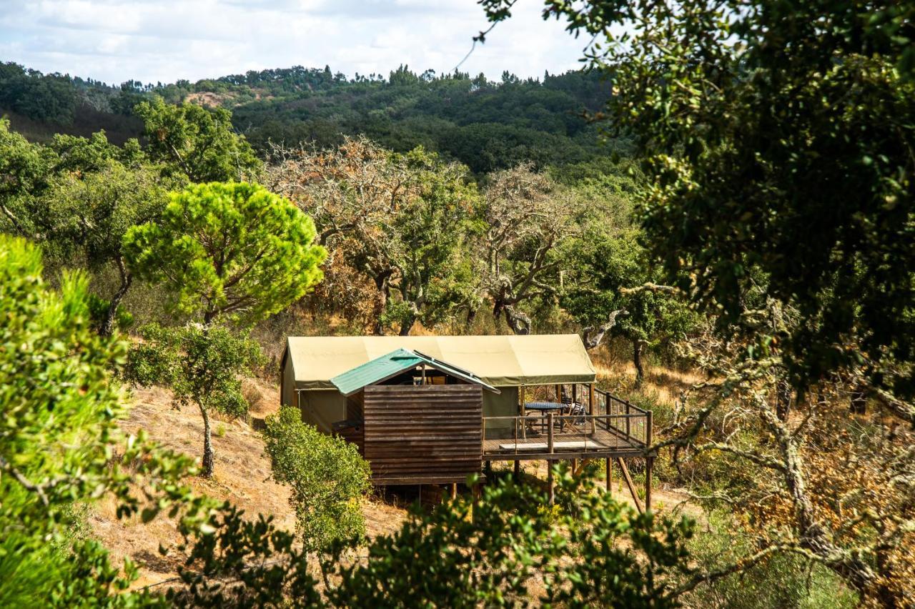 Figueirinha Ecoturismo ξενώνας Monte da Estrada Εξωτερικό φωτογραφία