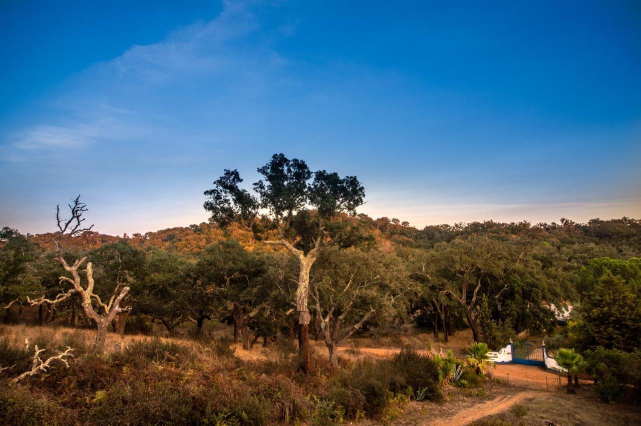 Figueirinha Ecoturismo ξενώνας Monte da Estrada Εξωτερικό φωτογραφία