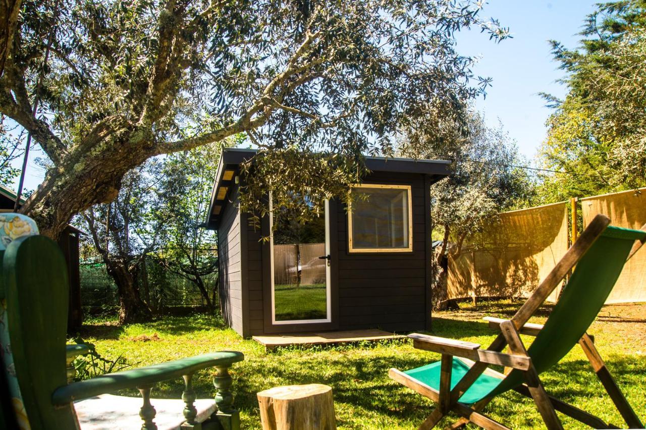 Figueirinha Ecoturismo ξενώνας Monte da Estrada Εξωτερικό φωτογραφία
