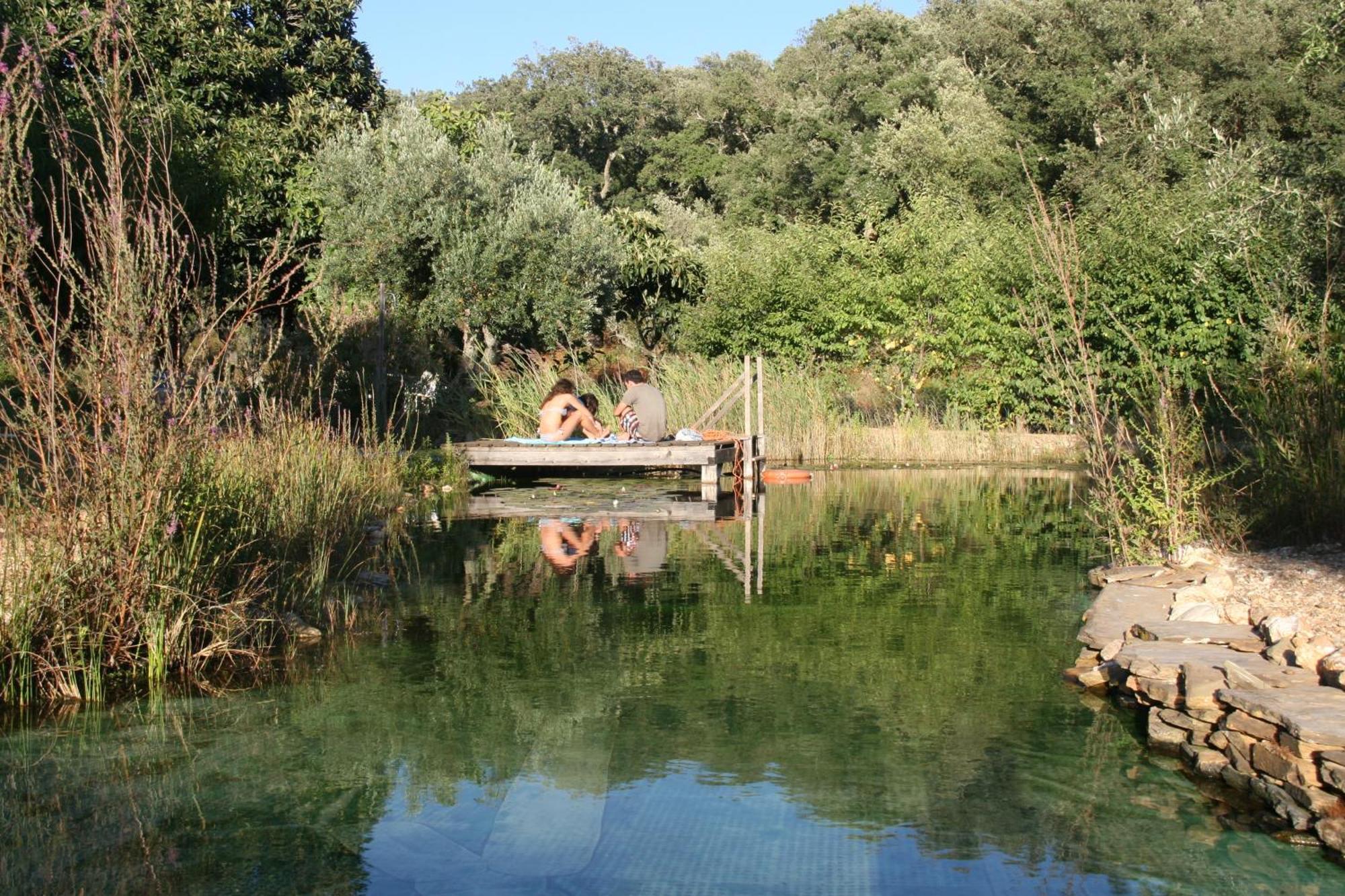 Figueirinha Ecoturismo ξενώνας Monte da Estrada Εξωτερικό φωτογραφία