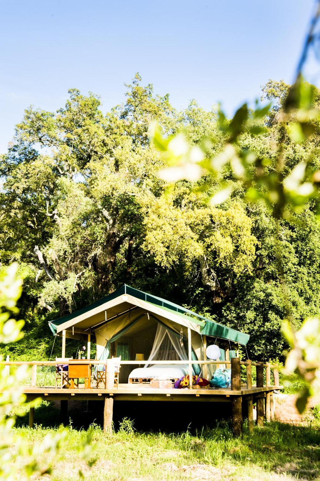 Figueirinha Ecoturismo ξενώνας Monte da Estrada Δωμάτιο φωτογραφία